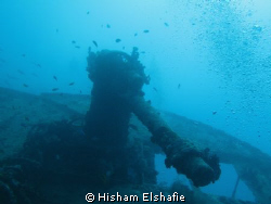 SS Thistlegorm Wreck, deck gun by Hisham Elshafie 